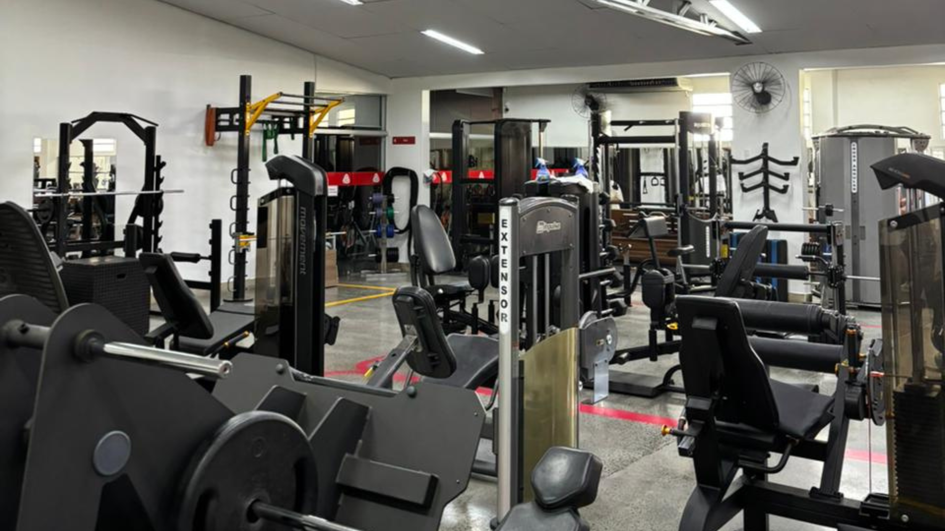 Musculação